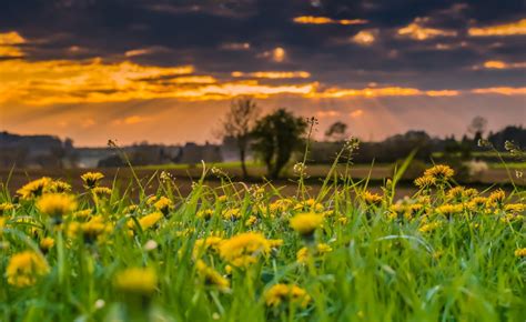 Bakgrundsbilder landskap natur horisont moln himmel soluppgång