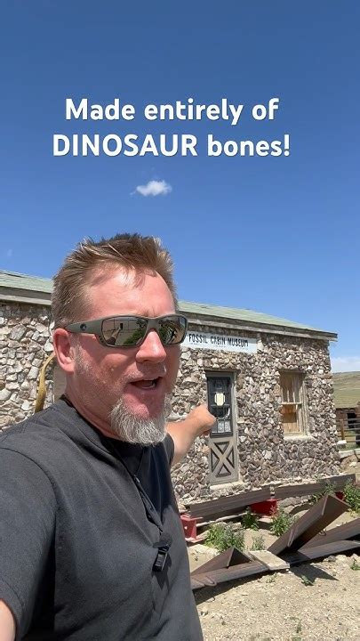 Cabin Made Of Dinosaur Bones At Como Bluff Wyoming Fossils Jurassic