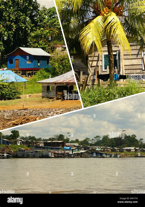 Collage de amazonia fotografías e imágenes de alta resolución Alamy