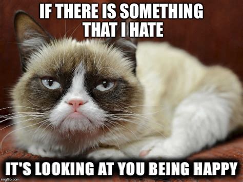 Grumpy Cat Meme Generator