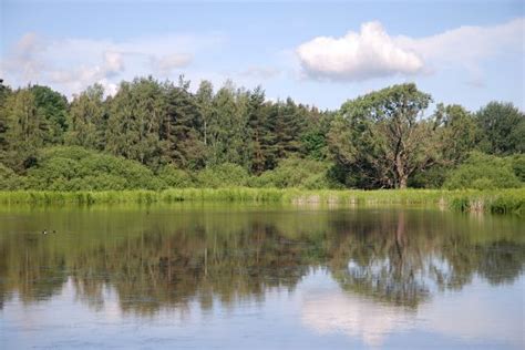 Free Images Landscape Water Nature Forest Grass Marsh Cloud