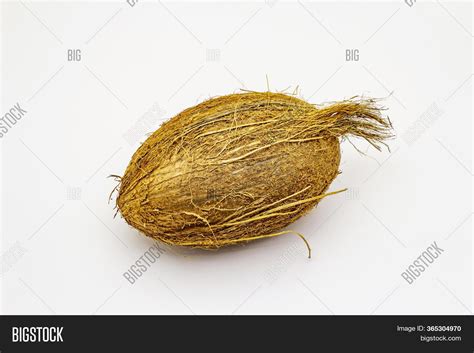 Fresh Ripe Coconut Image And Photo Free Trial Bigstock