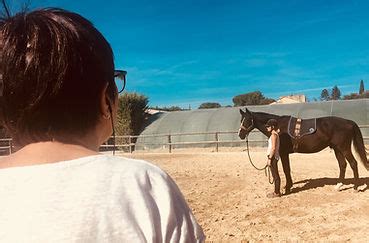 Equitation De Sagesse I Cheval Hypno I Hypnose I Equitation