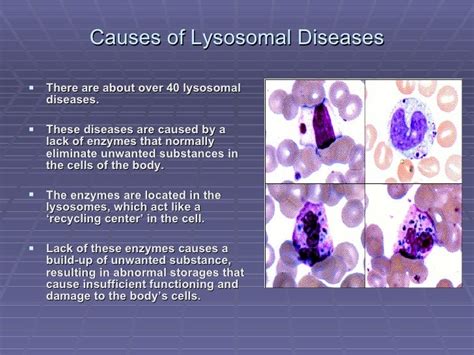 Lysosomal Storage Disease