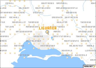 Liguanea (Jamaica) map - nona.net