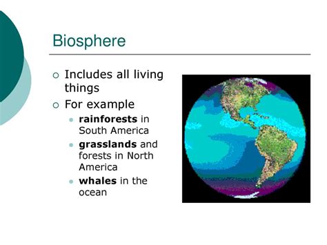 Biosphere Examples