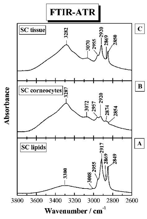 Attenuated Total Reflection Fourier Transform Infrared Atrftir