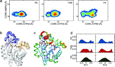 Atplid Dynamics Along The Catalytic Reaction Trajectory A