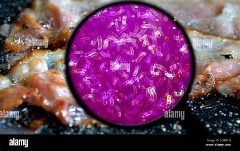 Searching For Bacteria On BBQ Meat Stock Photo Alamy