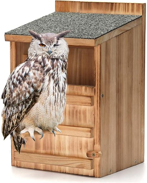 Owl Housescreech Owl House With Bird Standowl Nesting Boxbarn Owl