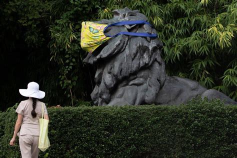 Lions And Tigers At The Smithsonian National Zoo Test Positive For