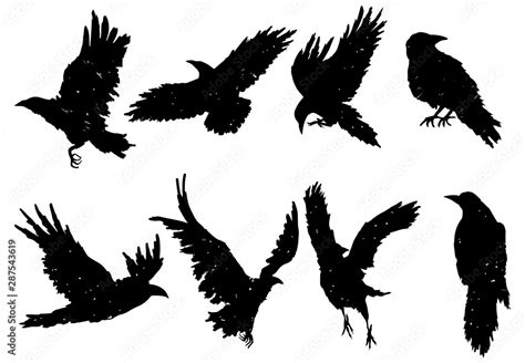 Set Of Ravens A Collection Of Black Crows Silhouette Of A Flying Crow