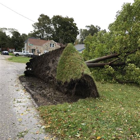 Storm damage reported across northeast Ohio | Fox 8 Cleveland WJW