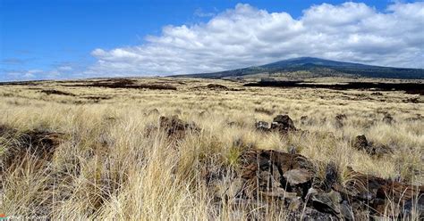 Exclusive Volcano Hike Kona - Hualalai Tour