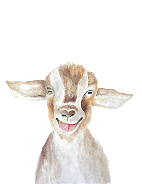 Watercolor Goat At Explore Collection Of