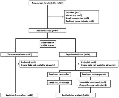 Frontiers Quantitative Ultrasound Radiomics Guided Adaptive