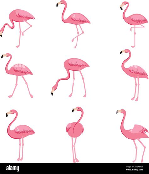 Pink Flamingos Cartoon