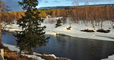 Tjulån river - Ammarnäs spår och leder