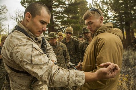 DVIDS Images CLB 6 And 2 5 Marines Receive Classes On Traps And