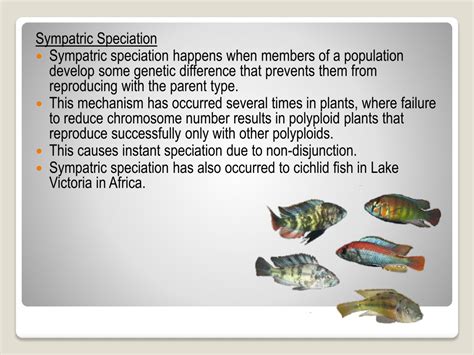 PPT - Speciation PowerPoint Presentation, free download - ID:9509847