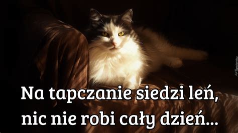 Na tapczanie siedzi leń nic nie robi cały dzień