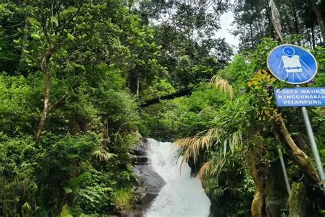 Menggali Kedamaian Di Tengah Keindahan Alam Curug Panjang Megamendung