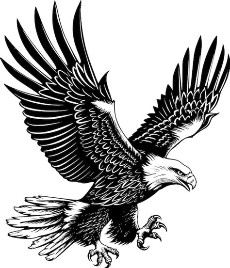 Vector de águila en blanco y negro Vector Premium