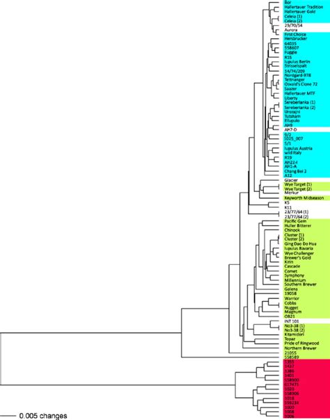 An Upgma Dendrogram Unrooted Representing The Relationships Between