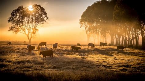 Australian Farm Biodiversity Certification Scheme Trial Gympie District Landcare