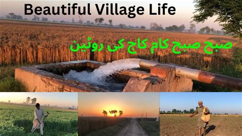 Village Life Village Morning Routine Work Gaon May Subha Ky Kam Kaj