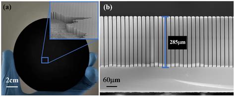 Wafer Scale Fabrication Of Ultra High Aspect Ratio Microscale Silicon