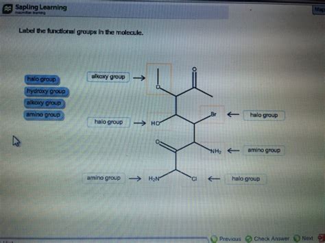 Solved Label The Functional Groups In The Molecule Chegg