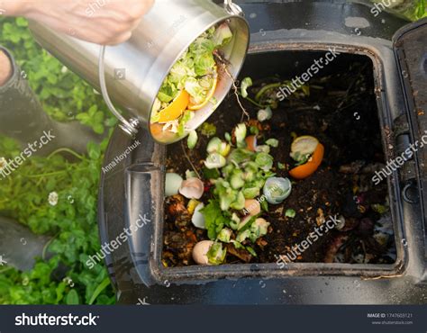 2409 Composter Metal Green Images Stock Photos And Vectors Shutterstock