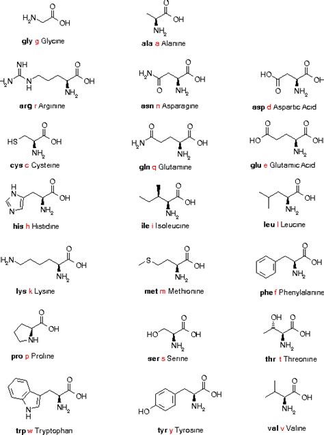 Amino Acids