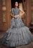 Gray Net Frilled Designer Lehenga Choli 065