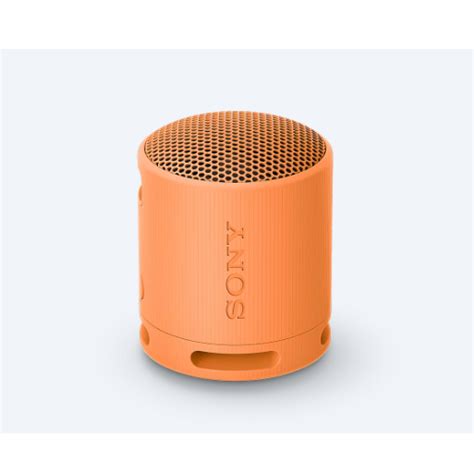 Loa Bluetooth Sony SRS XB100 Extra Bass Shopee Việt Nam