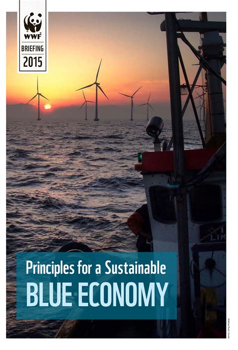 Brief Principles For A Sustainable Blue Economy Wwf