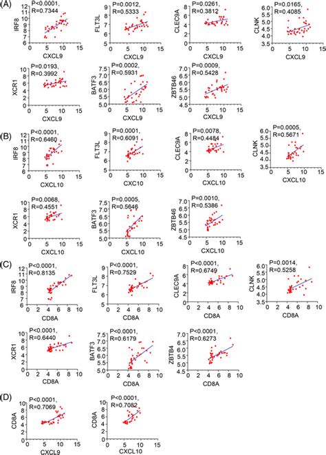 Interleukin 37 Promotes DMBA TPA Skin Cancer Through SIGIRR Mediated