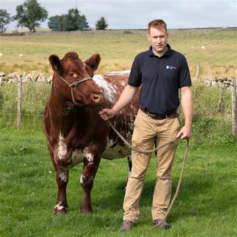 Cattle Castle Farm Vets