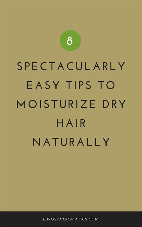 8 Simple Tips To Moisturize Dry Hair Naturally