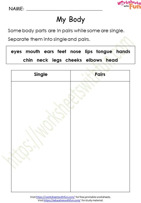 Environmental Science Class 1 My Body Worksheet 12 WWF