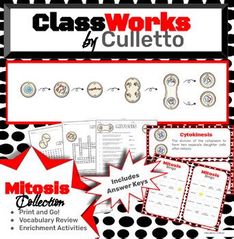 Mitosis Vocabulary Collection By ClassWorks By Culletto TPT