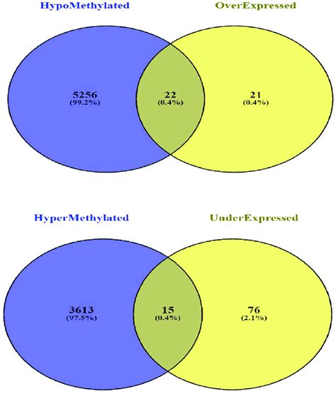 Venn Diagram Depicting The Number Of Overlapped Validated Download