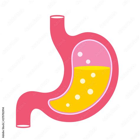 Stomach gas and acid vector cartoon Stock Vector | Adobe Stock