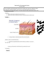 Unit5 IP POGIL Integumentary System Docx POGIL Activity On The