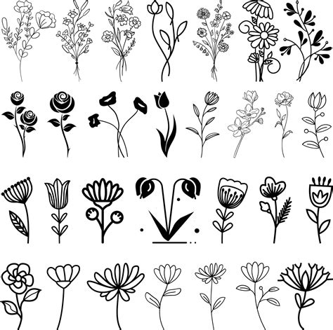 Wildflower Svg Bundle Botanical Svg Plant Svg Flower Svg Wildflowers