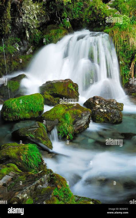 Humboldt Falls rainbow waterfall new zealand Hollyford Valley Fiordland ...