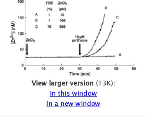 Figure 7 From The ERK Pathway Involves Positive And Negative