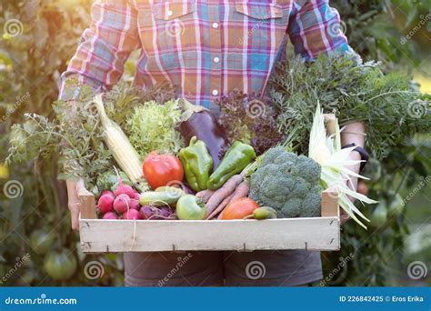 Verduras Frescas En Manos De Las Mujeres En La Vieja Tabla De Corte De