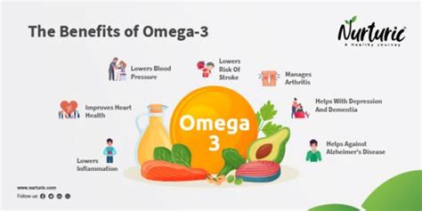 Top 10 Foods That are High in Omega-3 Fatty Acids - Health Benefits of Omega-3